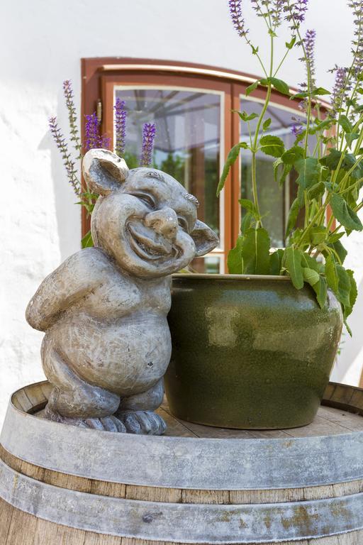 Unser Rosa Haus Fuer Sie ルスト 部屋 写真